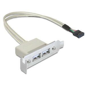 Delock Slot konzol USB 2.0 low profile 2 port (83119) 128154738 - USB bővítő