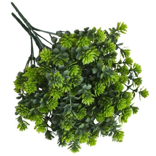 Mini pozsgás csokor zöld 142088451