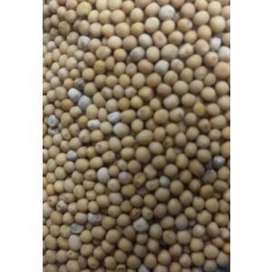 Paleolit Mustármag egész sárga 25kg lédig White mustard - Sinapis Alba 129815589 - Fűszermag