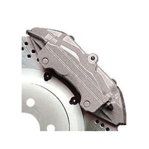 Strieborná farba v spreji, Champion Color, 400ml Silver 136053268