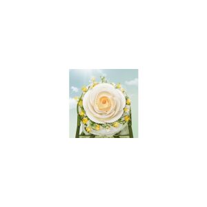 Puzzle 3D, Camelia alba, ROKR, 63 piese 136052138 - Puzzle 3D