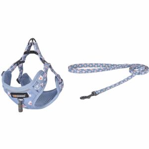 Kutyasétáltató szett póráz 1,5m+hám kutyának világoskék (DOG SET BLUE) 128300594 - Állattartás