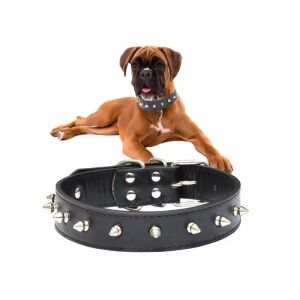 Tüskés, bőr kutya nyakörv állítható mérettel 128323674 - Állattartás
