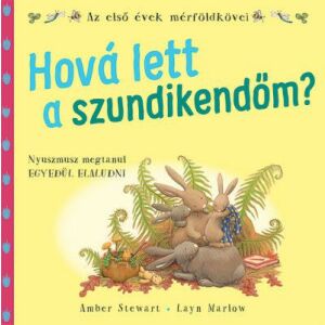 Hová lett a szundikendőm? 139850798 - Gyermek & Ifjúsági könyv