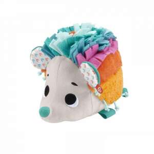 Fisher-Pice: Regenbogen-Igel Buddy - Mattel
