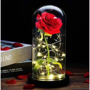 Kriogén rózsa, örökrózsa búrában, 17cm, vörös 128392219 - Ajándék ötlet Valentin-napra