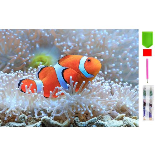 5D Gyémántfestő Készlet - Virágok 128403001