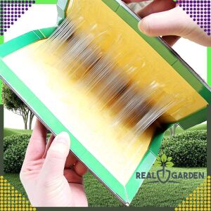 Cutie cu 200 de capcane pentru soareci, adeziv puternic, capcane cu miros puternic 128403809 - Articole antidăunători