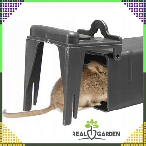 Real Garden humánus egércsapda, fekete, egérrel benne, bemutatva, hogyan működik a csapda - Kártevőirtó