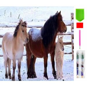 Kit mozaic pentru broderie cu diamant pentru pictura cu diamant 5D 136 128403715 - Puzzle-uri diamant jigsaw