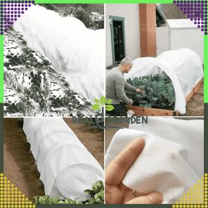 Husa de protecție de iarnă Agrotextil pentru plante, 50x1,6m, 50g, albă, colag cu exemple de utilizare - Saci protectie plante