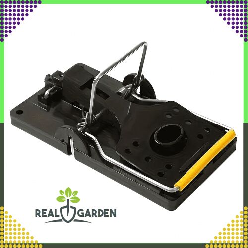 4x pułapka na szczury gryzonie myszy pułapka na myszy gilotyna pułapka na szczury