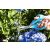 Cellfast 40-430 IDEAL Universalschere 21 cm - Hochwertiges Gartenwerkzeug mit Edelstahlklingen 136034965