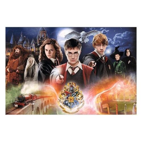 Puzzle Harry Potter, wszystkie postacie, 300 elementów, 60x40 cm 136041235