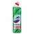 Domestos Protection Chlorfreies Desinfektionsmittel Eukalyptus & Wilde Minze 700ml