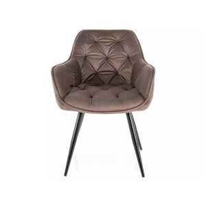 Cherry Velvet Cappuccino étkezőszék fekete fém lábakkal, modern, kárpitozott, kényelmes, stílusos - Signal