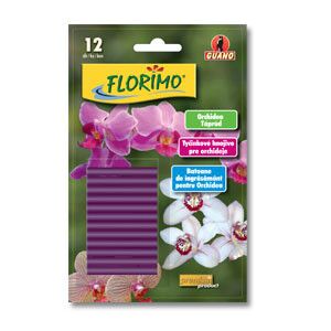 Táprúd orchidea, Florimo 12db-os 128707467 - Növénytermesztés