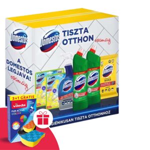 Domestos Tiszta Otthon Reinigungsset mit Vileda Schwamm - Desinfektionsmittel für den Haushalt