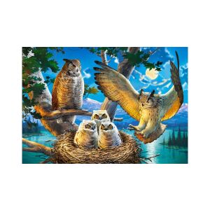 Castorland 500 db-os puzzle - Bagoly család (B-53322)