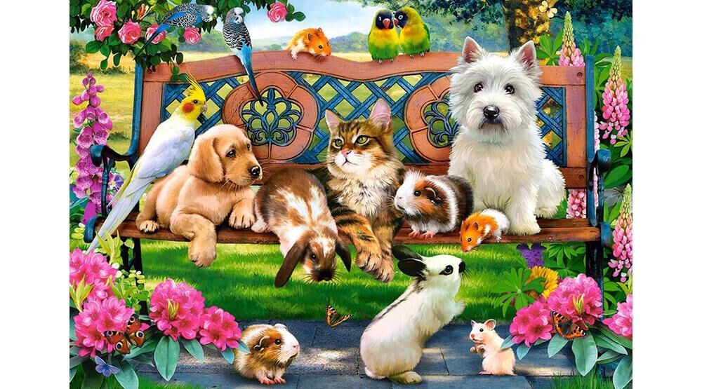 Puzzle 1000 Animale de companie în parc CASTOR