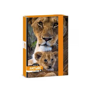Ars Una: Máté Bence Spirit of Nature - Oroszlános füzetbox A/5 128975866 - Füzetbox