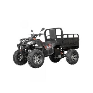 AKKUMULÁTOROS TEHERSZÁLLÍTÓ kIS QUAD 128975911 - Quad