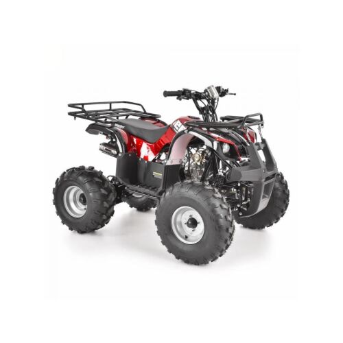 BENZINMOTOROS QUAD 125 CCM 128976194