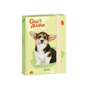 Ars Una: Welsh Corgi bulldog A/5 füzetbox 128976521 - Füzetbox