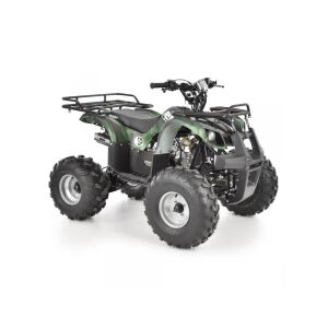 BENZINMOTOROS QUAD 125 CCM 128976566 - Quad