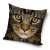 Cat cushion cover, 40x40 cm, The Cat brand