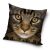Cat Pillowcase 40*40 cm 41617579