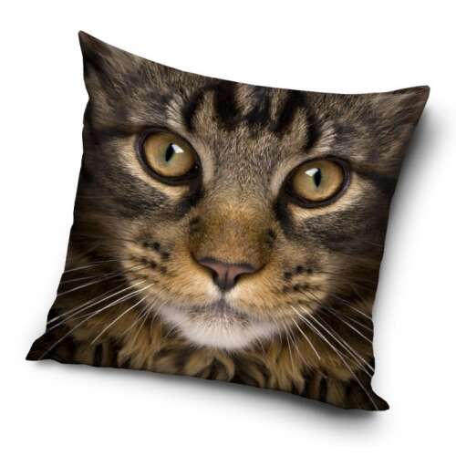 Cat cushion cover, 40x40 cm, The Cat brand
