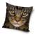 Cat cushion cover, 40x40 cm, The Cat brand