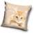 Cat pillow cover, 40x40 cm, Home Sweet Home design, cute kitten, beige background