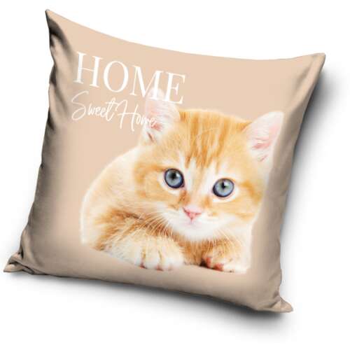 Cat pillow cover, 40x40 cm, Home Sweet Home design, cute kitten, beige background