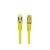 Lanberg PCF6A-10CU-0025-Y network cable Yellow 0,25 M Cat6a S/FTP (S-STP) 129086412