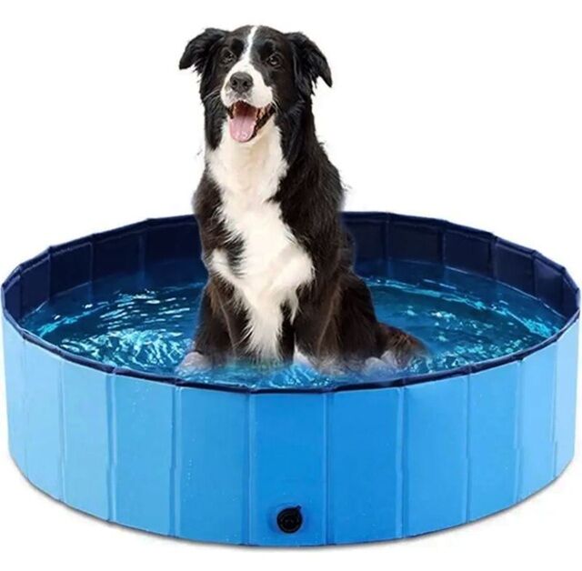 John Green XXL Kutya- és kisállatmedence 120x30cm