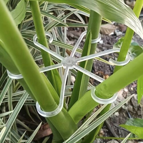 4 suporturi din plastic pentru tulpinile plantelor 129161673