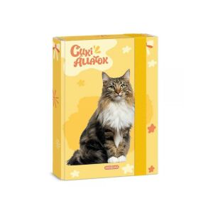 Ars Una: Cuki Norvég erdei macska A/5 füzetbox 129162322 - Füzetbox