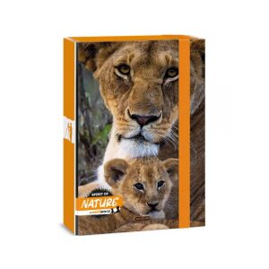 Ars Una: Spirit of Nature Oroszlán A/4 füzetbox 129162378 - Füzetbox