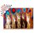 Enjoy 1000 db-os puzzle - Five Cats (2131) 129179747