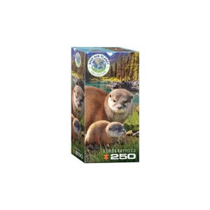 EuroGraphics 250 db-os puzzle - Otters (8251-5558) 129181162 - Eurographics
