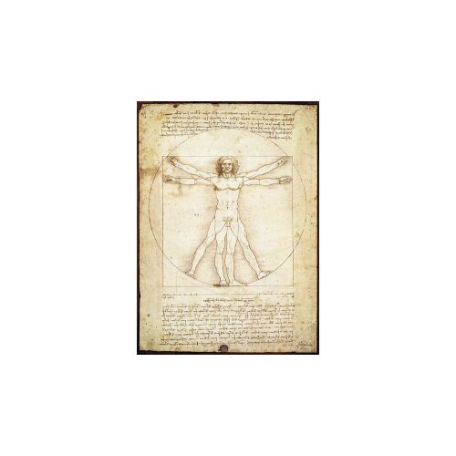 A Vitruvius Man, Leonardo da Vinci, 1000 darabos kirakós játék, EuroGraphics - Eurographics