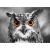 Enjoy 1000 db-os puzzle - Curious Owl (1626) 129181722