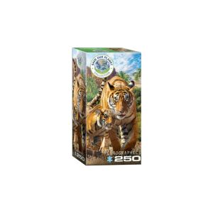 EuroGraphics 250 db-os puzzle - Tigers (8251-5559) 129182543 - Eurographics