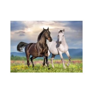Bluebird 500 db-os puzzle - Couple de Chevaux (90282) 129184616 - Bluebird