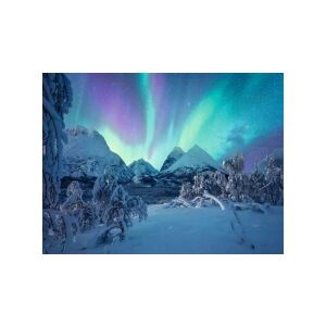 Fertiges Ravensburger 1500-teiliges Puzzle, Nordlichter, Kraft der Natur - Ravensburger Puzzle