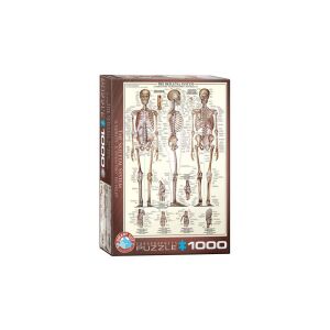 EuroGraphics 1000 db-os puzzle - The Skeletal System (6000-3970) 129185449 - Eurographics