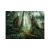Puzzle Ravensburger 1000 elementów, Power of Nature - W lesie, 12000292, przedstawia zbliżenie na scenę leśną z wysokimi drzewami i paprociami
