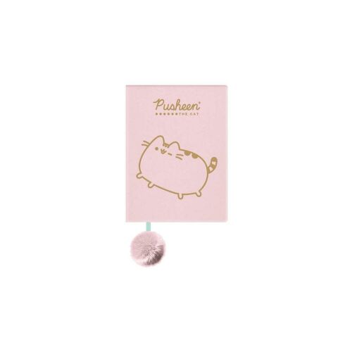 NOTES PLUSZ A5/96K LIN PUSHEEN ROZ FO WB